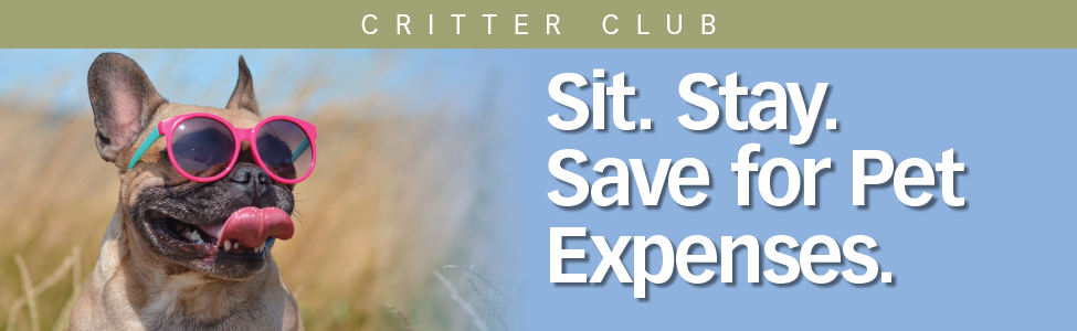 Sit. Stay. Save for Pet Expenses.