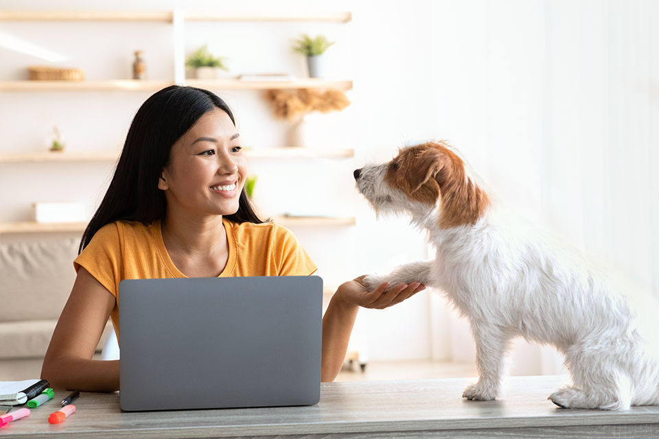 Get rewarded!
Use your Educator's accounts to earn more with 
Member Loyalty
Track rewards in Online & Mobile Banking
